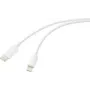 Cable USB Renkforce USB 2.0 conector USB-C macho a conector Apple Lightning macho blanco (RF-6857550)