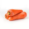 PNOS zanahoria comestible Lenka semillas en cinta, 6 m