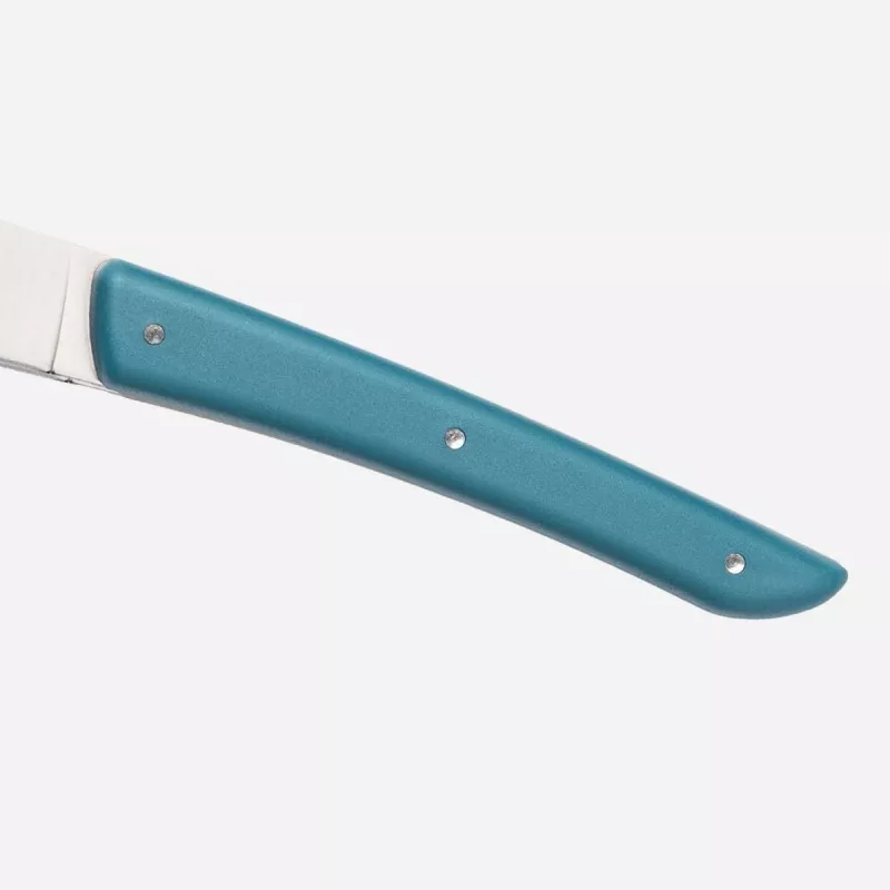 Cuchillo de carne Berkel KCO4SW11SRPBL acero inoxidable 4 uds. 11 cm hoja