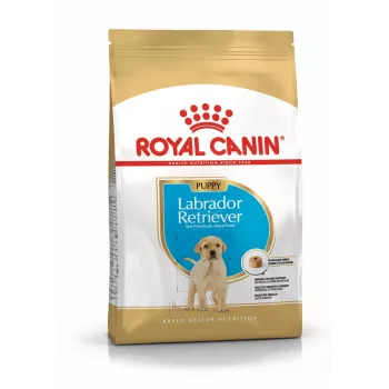 ROYAL CANIN SHN Breed Labrador Junior Alimento seco para perros - 12 kg