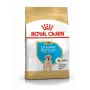 ROYAL CANIN SHN Breed Labrador Junior Alimento seco para perros - 12 kg