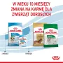 ROYAL CANIN Puppy Mini - pienso seco para perros - 8 kg