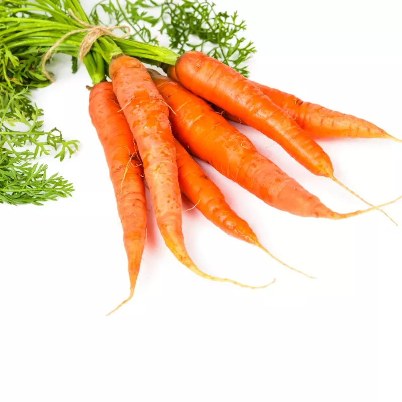 PNOS zanahoria comestible Dolanka semillas en cinta, 6 m