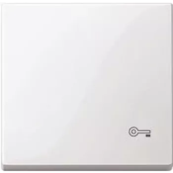 MERTEN Tecla con marcado llave MEG3303-0319 blanco polar brillante MEG3303-0319 MEG3303-0319 (MEG3303-0319)