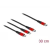 Cable de carga USB DeLOCK 86710 3 en 1 USB Type-C a Lightning Micro USB 30 cm negro rojo