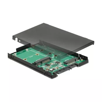Tarjeta de interfaz DeLOCK 62866 interna M.2 mSATA