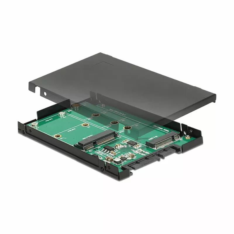 Tarjeta de interfaz DeLOCK 62866 interna M.2 mSATA