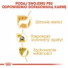 ROYAL CANIN BHN Yorkshire Terrier Adult - Comida seca para perros - 3kg