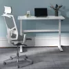 Escritorio Ergo Office regulable en altura manualmente, máx. 40 kg, altura máx. 117 cm, con tablero para trabajar de pie y sentado, ER-401 W