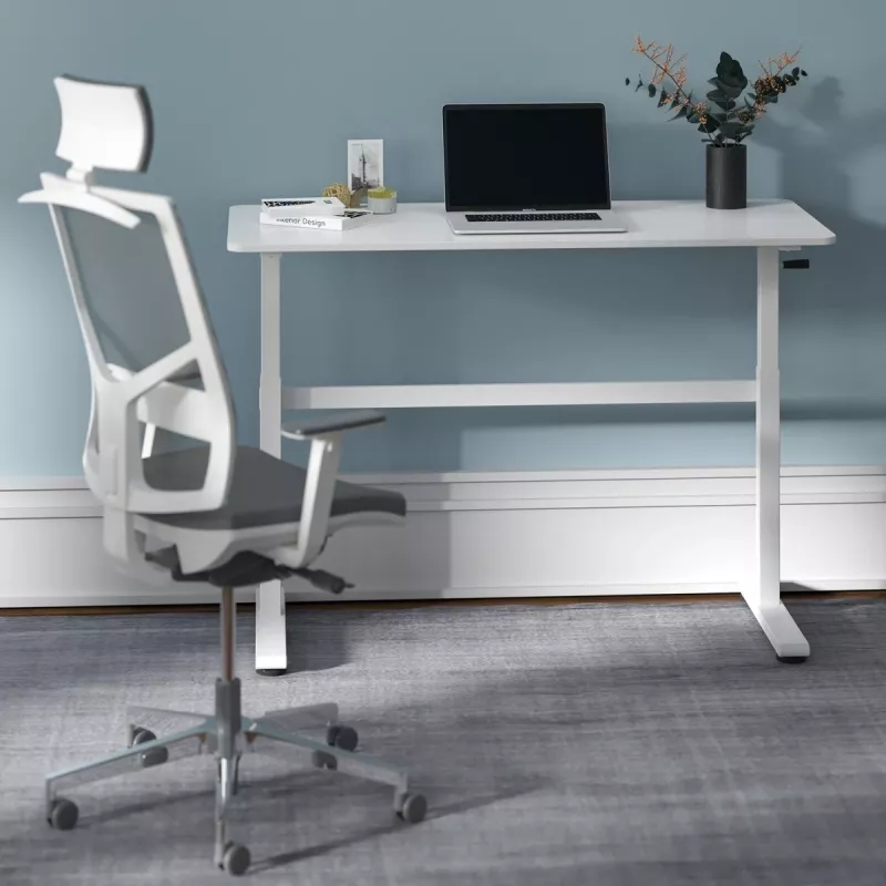Escritorio Ergo Office regulable en altura manualmente, máx. 40 kg, altura máx. 117 cm, con tablero para trabajar de pie y sentado, ER-401 W