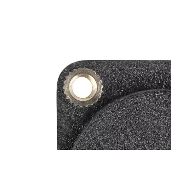Módulo tipo D DeLOCK DisplayPort conector hembra a conector hembra 4K negro