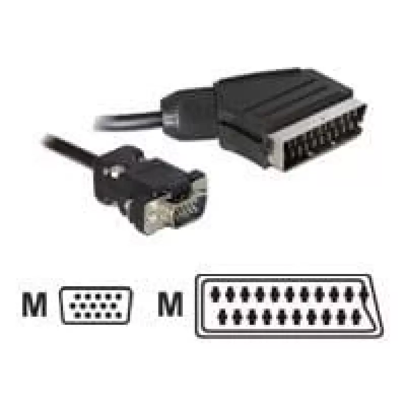 Adaptador de cable de vídeo DeLOCK 65028 SCART (21 pines) a VGA (D-Sub) 2 m