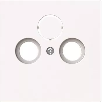 BUSCH-JAEGER 1743-44G tapa central antena 2/triple (2CKA001724A4432)