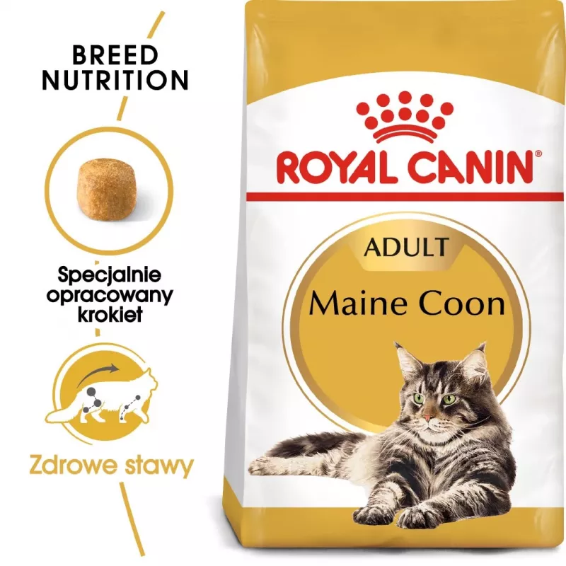 Royal Canin FBN Maine Coon Adult comida seca para gatos, 4 kg