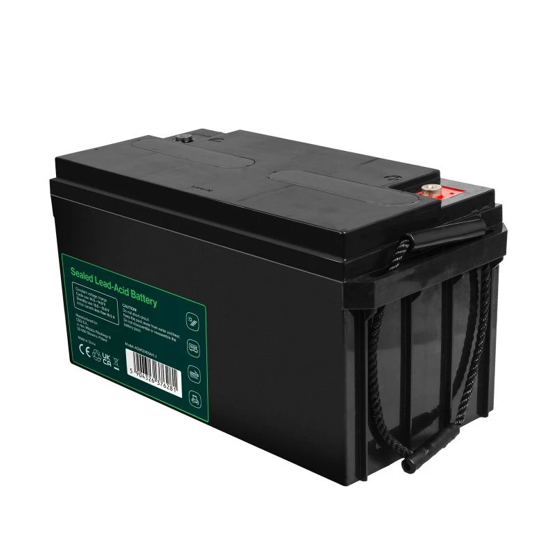 Batería AGM VRLA 12V 65Ah IP54
