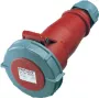 Conector hembra AM-TOP MENNEKES Elektrotechnik GmbH & Co. KG 16A 5p 6h 400V IP67 550 (550)