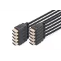 Cable HDMI Digitus AK-990920-020-S 2 m pack de 10 uds.