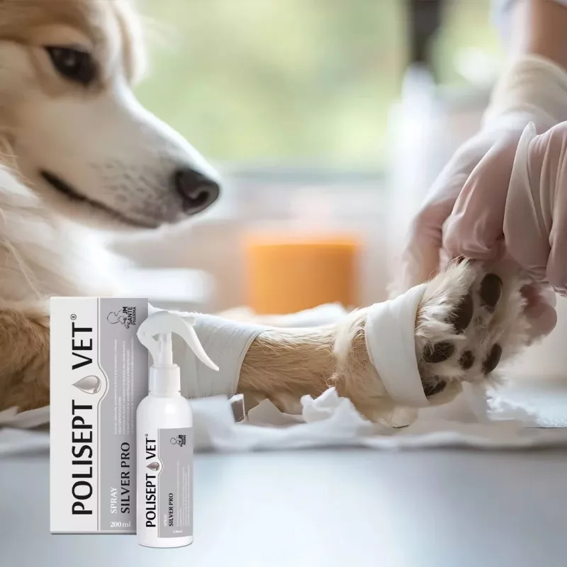 Spray antiséptico JM Sante Polisept Vet Silver Pro 200 ml — spray veterinario para heridas y piel de animales