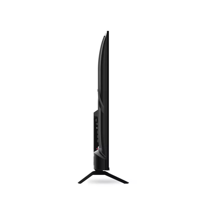 TV LED 55