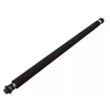 Ricoh B0393820 rodillo de repuesto/accesorio para impresora/escáner