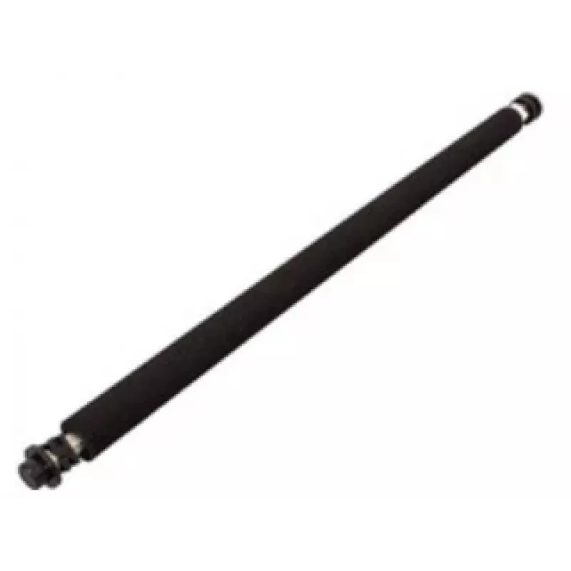 Ricoh B0393820 rodillo de repuesto/accesorio para impresora/escáner