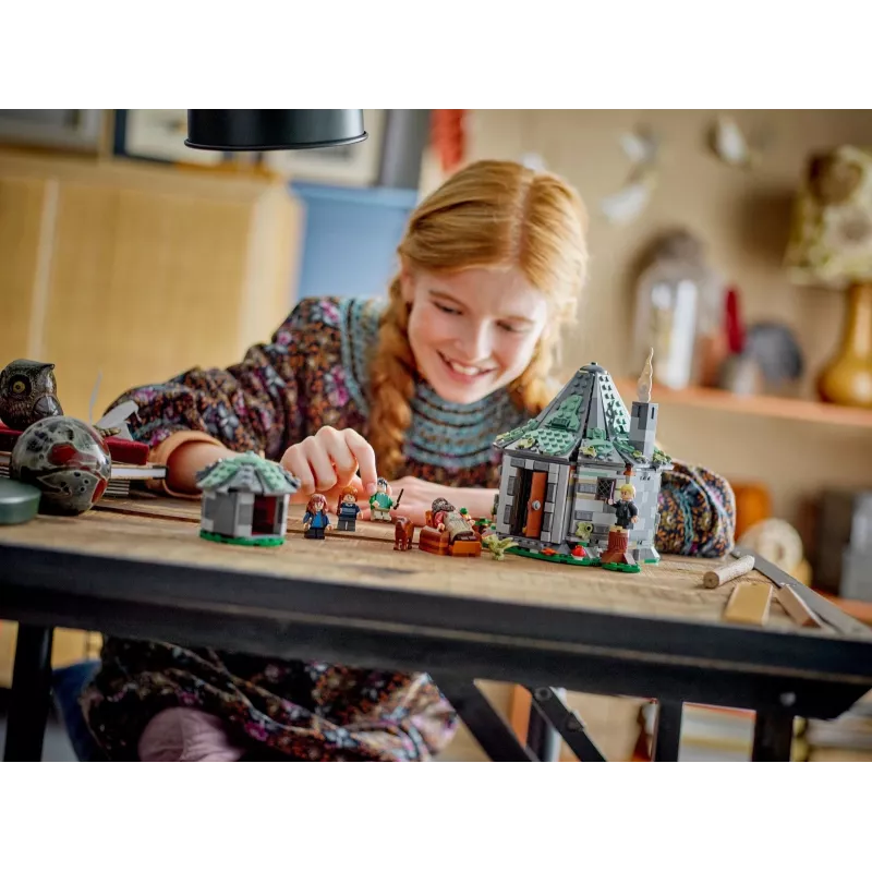 LEGO HARRY POTTER 76428 La cabaña de Hagrid – Una visita inesperada