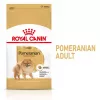 Comida seca Royal Canin Pomeranian Adult 3 kg – fórmula para razas pequeñas para pomeranias adultos