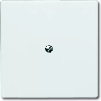 BUSCH JAEGER 2138-34 Cubierta ciega para tecnología de datos y comunicación blanco alpino