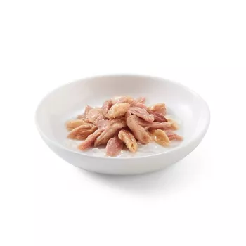 SCHESIR atún con salmón en gelatina - Comida húmeda para gatos - 6x50 g