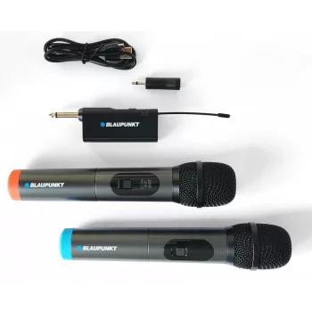 Micrófono Blaupunkt WM60UDB