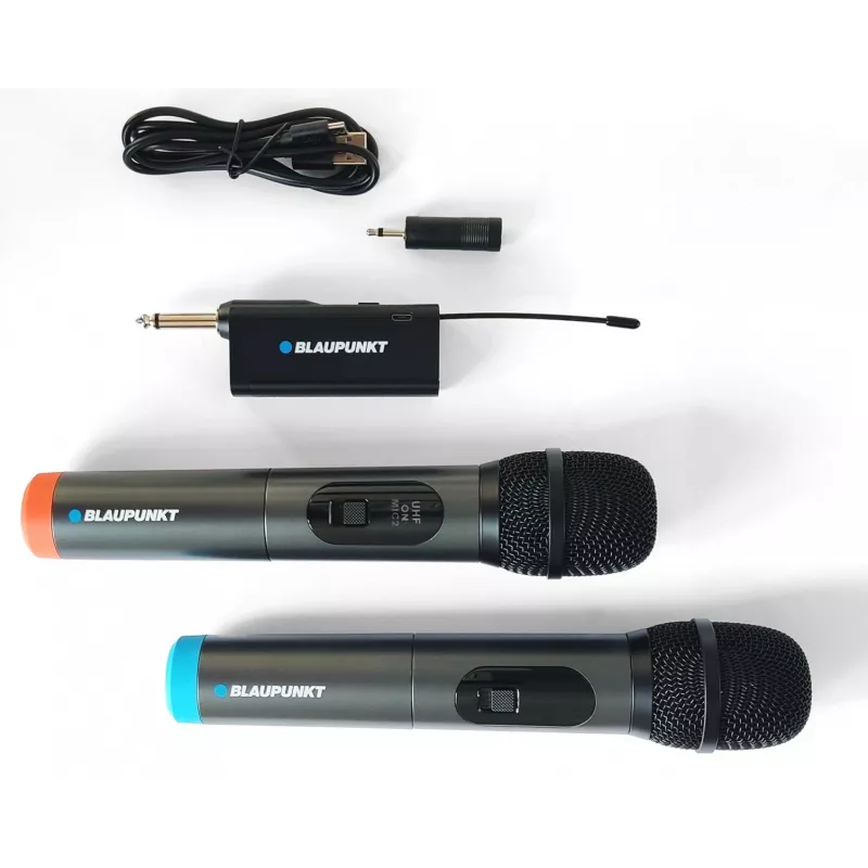 Micrófono Blaupunkt WM60UDB