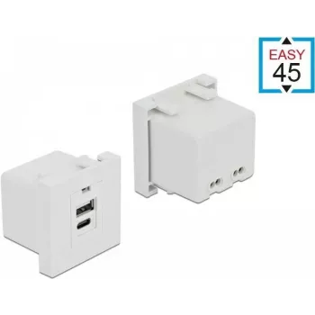 Toma USB A + USB C DeLOCK 81313