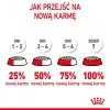 Royal Canin FHN Kitten pienso seco para gatitos, 4 kg