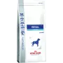 Royal Canin Renal Special - Pienso para perros - 2 kg