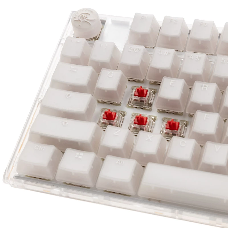 Teclado Ducky One 3 RGB Gaming USB QWERTY US English blanco mecánico con cable