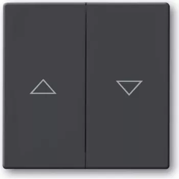 Busch-Jaeger series de interruptores. Control: botones, color del producto: negro. Ancho: 63 mm, alto: 63 mm. Cantidad por paquete: 1 ud. (1751-0-2934)
