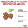 ROYAL CANIN Mini Puppy SHN comida seca para perros 2 kg