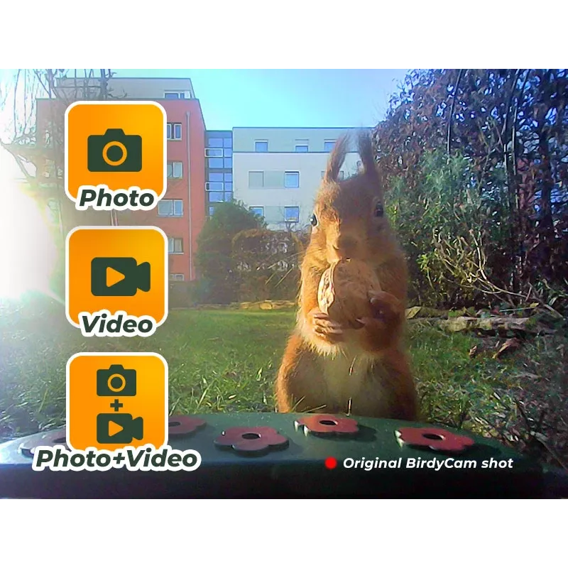 EASYPIX Bird Camera Easypix Bird Cam 10123 1080p HD visión nocturna