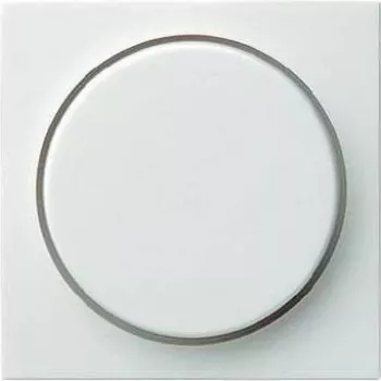 Marco cubierta GIRA 0650 03 — blanco, marco decorativo de una pieza