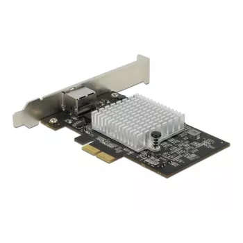 Tarjeta PCI Express x2 DeLOCK AQC113CS 10 Gigabit LAN RJ45