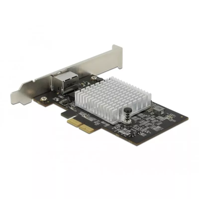 Tarjeta PCI Express x2 DeLOCK AQC113CS 10 Gigabit LAN RJ45