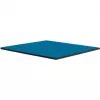 Thermal Grizzly Minus Pad Advance – almohadillas térmicas, 100 × 100 × 0,5 mm, 2 uds. (TG-MP-A-100-100-05-2)