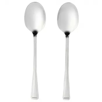 Set de cucharas de servir Salter BW09649 – 2 piezas de acero inoxidable, aptas para lavavajillas