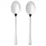 Set de cucharas de servir Salter BW09649 – 2 piezas de acero inoxidable, aptas para lavavajillas