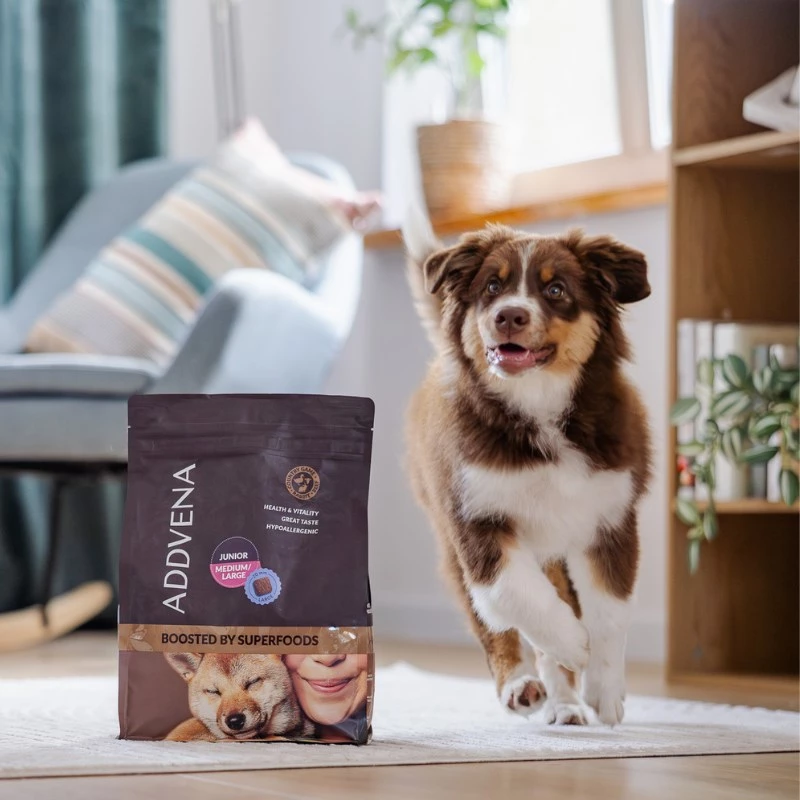 ADDVENA Boosted by superfoods Junior Medium/Large Beef - pienso seco para perros - 2,5 kg