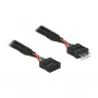 Cable DeLOCK 0,1m 2xUSB2.0 10p
