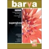 Papel fotográfico Barva Profi Super Glossy 255 g/m² A3 20 hojas