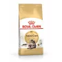 Royal Canin FBN Maine Coon Adult pienso seco para gatos, 10 kg