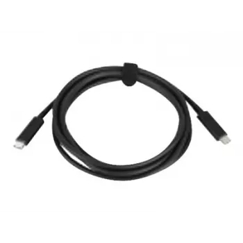 Cable USB Lenovo 4X90Q59480 USB 3.2 Gen 1 (3.1 Gen 1) 2 m USB-C negro