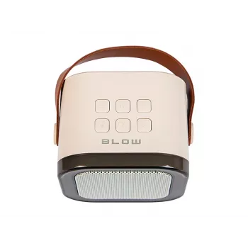 Altavoz de karaoke, Altavoz Bluetooth KARAOKE RGB, 30W